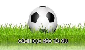 Hướng Dẫn Soi Kèo Tài Xỉu Bóng Đá Từ Cơ Bản Đến Nâng Cao