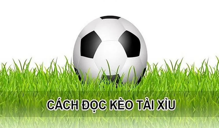 Hướng Dẫn Soi Kèo Tài Xỉu Bóng Đá Từ Cơ Bản Đến Nâng Cao