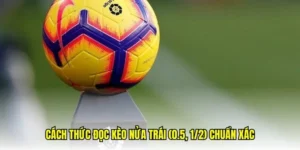 Kinh Nghiệm Soi Kèo Chấp 0.5 Hiệu Quả Nhất Để Tránh Mất Tiền Oan