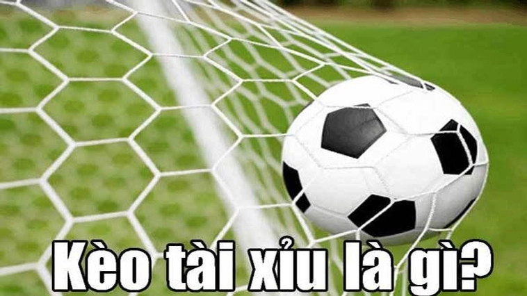 Soi Kèo Tài Xỉu Bóng Đá Chuẩn Xác Bách Phát Bách Trúng